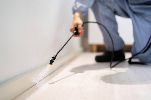 Licensed Pest Control service in Dale, IN - Show Me Pest Control