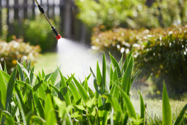 24/7 Emergency Mosquito Control experts in Dale, IN